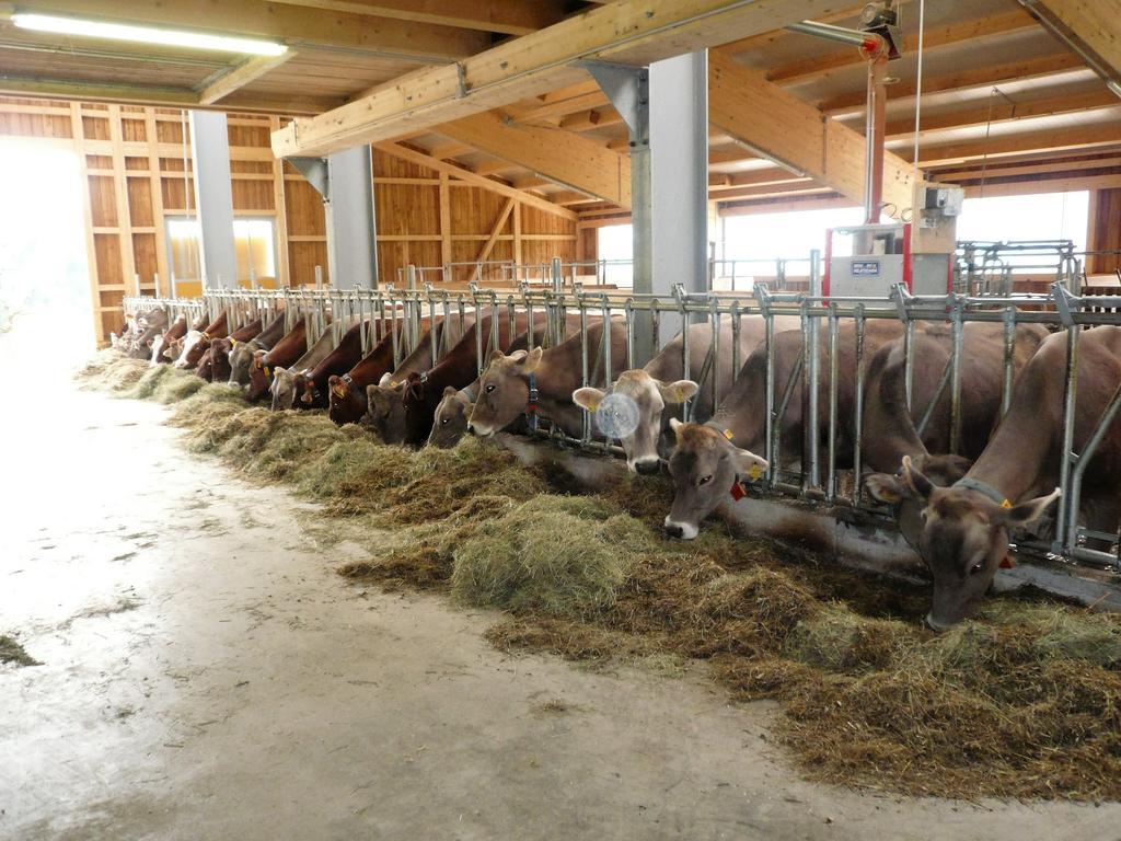 Ferienwohnung Hacklbauer Altenmarkt im Pongau Exterior foto