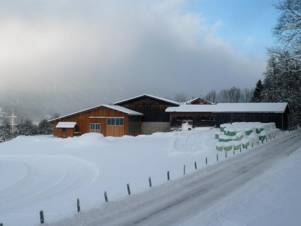 Ferienwohnung Hacklbauer Altenmarkt im Pongau Exterior foto